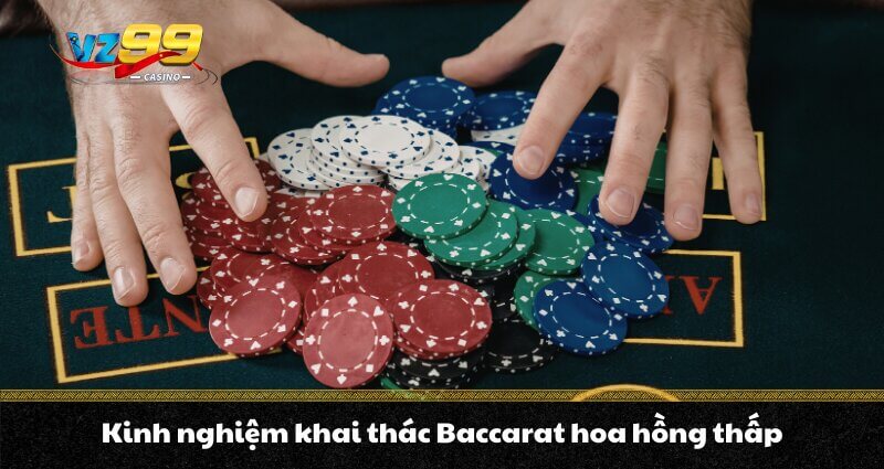 Baccarat hoa hồng thấp - Tối ưu chi phí, nâng cao lợi nhuận 5 Kinh nghiệm khai thác Baccarat hoa hồng thấp